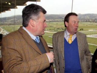 Who do you think will have the most Festival winners - NIcholls or Henderson?