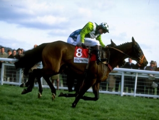 1999 hero See More Business