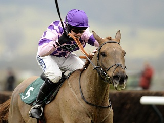 Time For Rupert: This year's Festival banker?