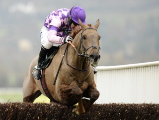 Time For Rupert: A Festival Banker for some, and a banker in the placepot