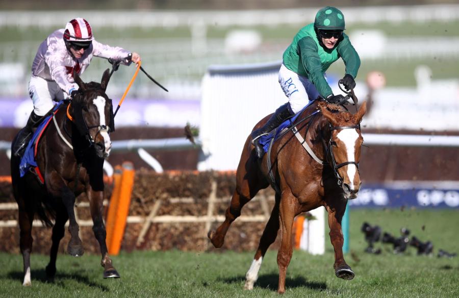 concertista black tears Cheltenham 2021.jpg