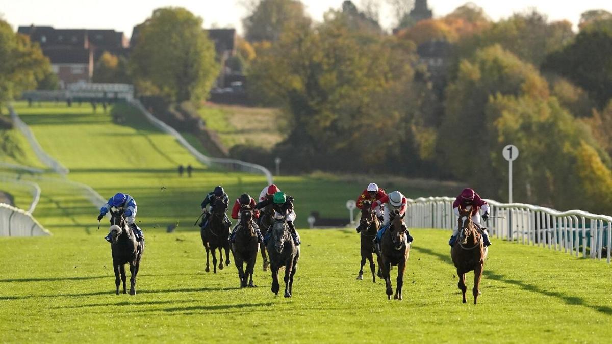 Leicester horse racing