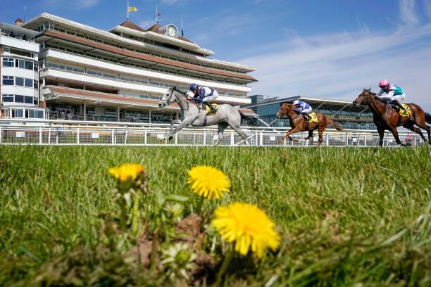 Today's Racing News: A fabulous Friday at Newbury and Ayr 
