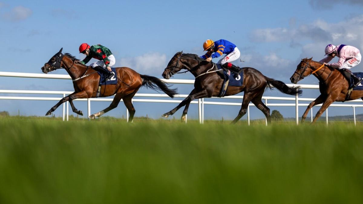 Roscommon Racecourse