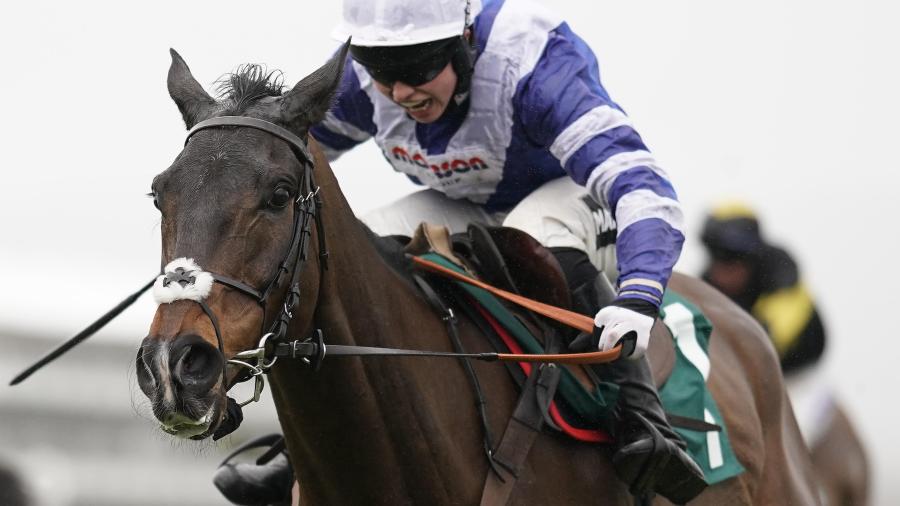 Frodon close up 1280.jpg