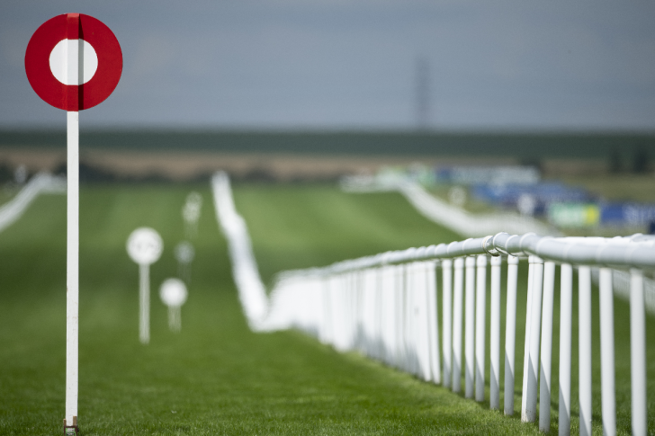 Today's Racing News: A Friday stacked with potential at Newmarket