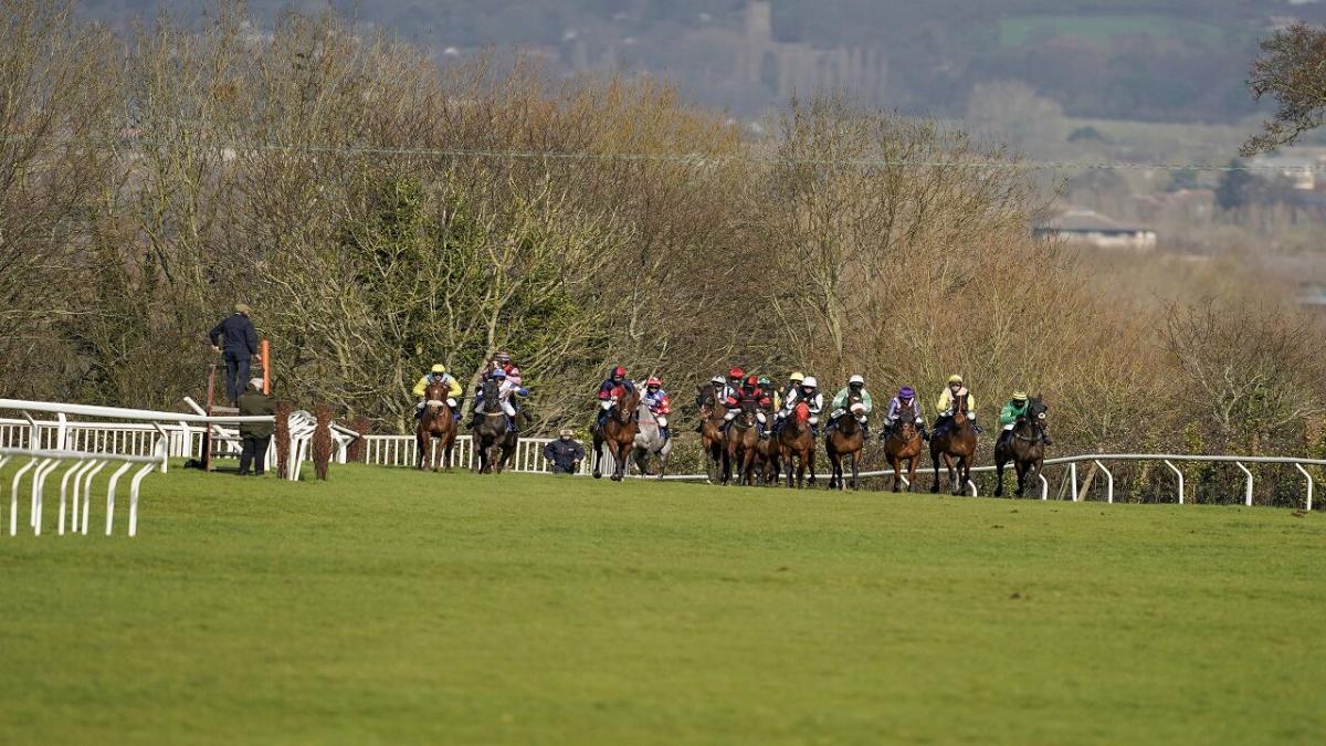 Taunton Racecourse