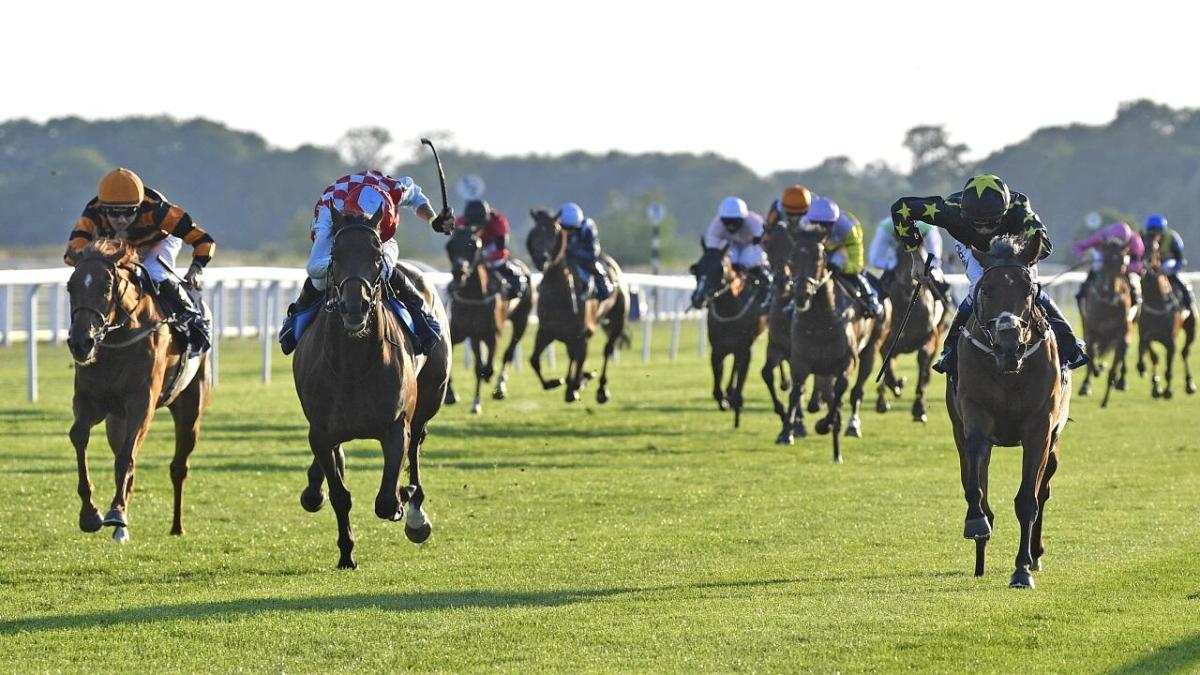 Windsor race course