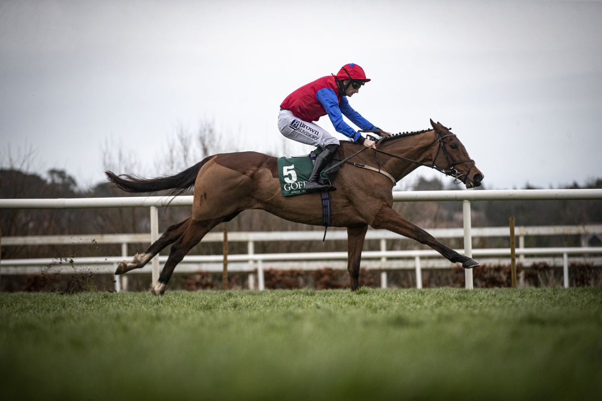Facile Vega looks vulnerable in the opening race of the Cheltenham Festival