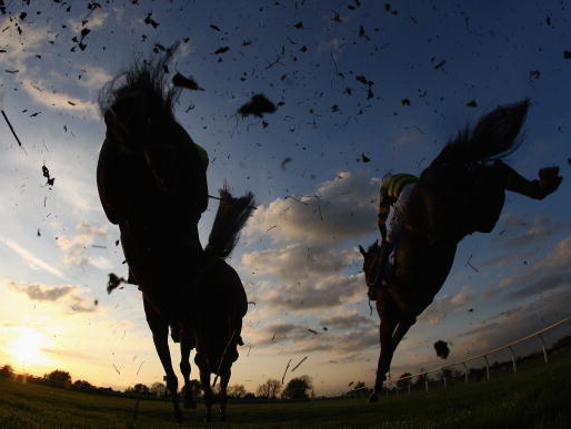 007 Timeform Radio Tip