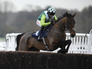 Aiteenthirtythree: Heads Nicholls' team aiming for Hennessy glory.