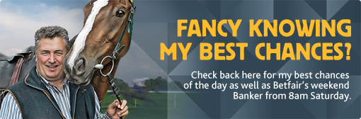 Banner 510x1684.jpg