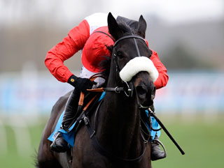 Big Buck's made it 14 consecutive victories in the Grade 1 Long Walk Hurdle