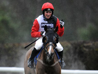 Can Celestial Halo land a third win of the season? 