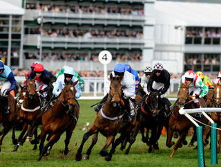 Nicholls is chasing his 150th winner at Cheltenham