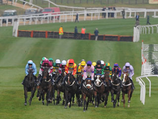 Will Paul taste victory with any of his day two runners?
