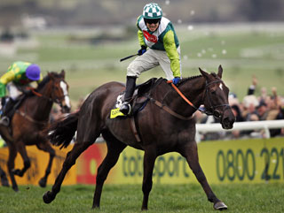 How we will remember him - Denman crosses the line to win the 2008 Cheltenham Gold Cup 