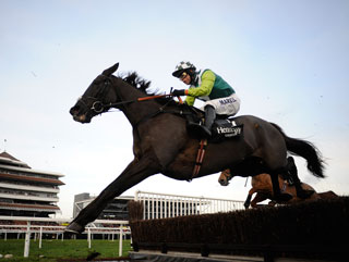 Denman will not be able to make it to a track where he has enjoyed phenomenal success in the past 