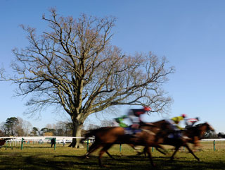 Paul sends two to Fontwell on Sunday
