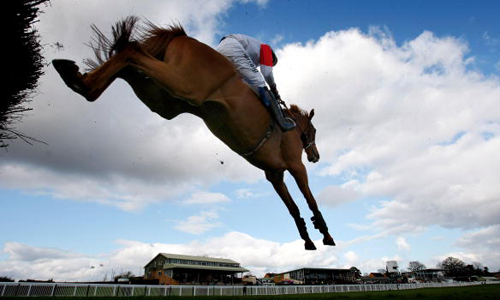 How will they fare at Hereford? 