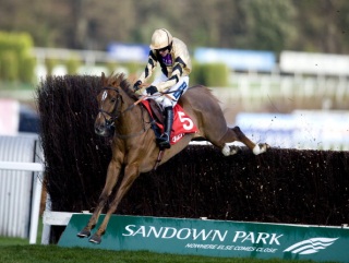 Hold fast was an impressive winner at Sandown this weekend