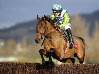 Join Together marked himself a novice to follow with a decisive victory on Saturday afternoon
