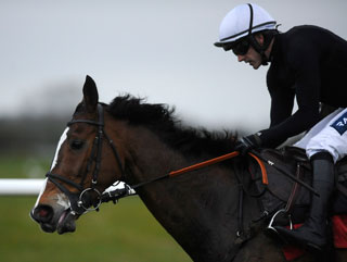 Kauto and Ruby galloping at Wincanton 