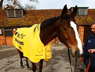 Kauto Star put his stamp on the Betfair Chase - and is doing the same on our scarves