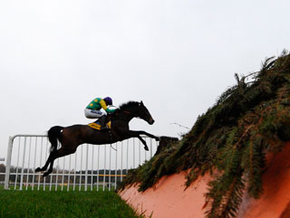 Kauto pleased Paul and Clifford today 