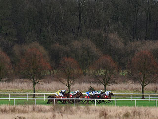 Paul has a number of winning chances at Kempton on Boxing Day