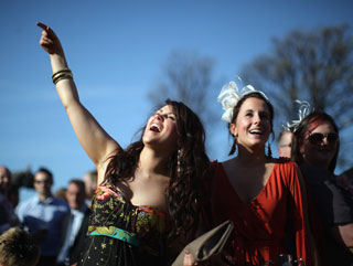 Will they be celebrating Nicholls winners on Friday? 