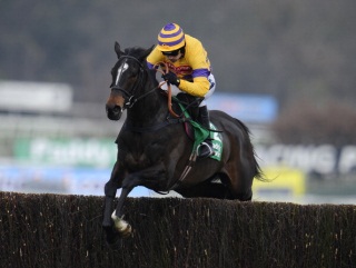 Mon Parrain could head to Newbury on Saturday