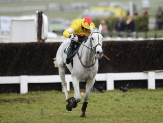 Neptune Collonges is Nicholls' highest-profile runner this weekend