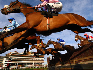 Plenty of action at Newbury on Thursday - will there be plenty of winners for Paul? 