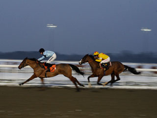 Noland with stablemate Pepe Simo on the all-weather