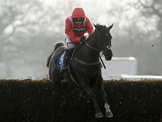 Exciting chase prospect Sanctuaire 