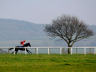 Sanctuaire stretches the field at Taunton