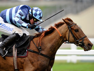 Sonofvic in action at Ascot in February 2011