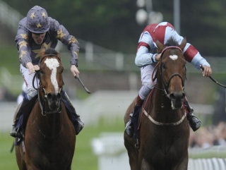 Chester Vase winner Ted Spread (right) is likely to make his debut for Nicholls this week