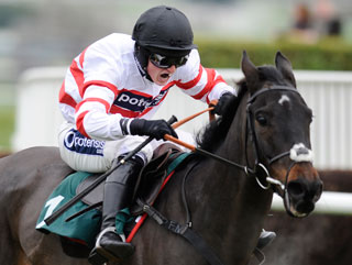 Woolcombe Folly is arguably Nicholls' highest profile entry this weekend