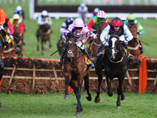 Zarkandar pictured winning the Triumph Hurdle last year 