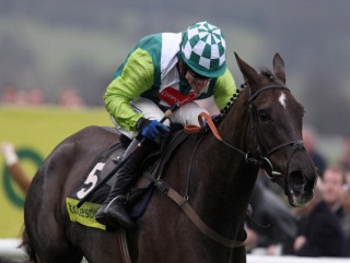Denman is 'a seriously big price' at 26 for the Gold Cup, according to Paul Nicholls