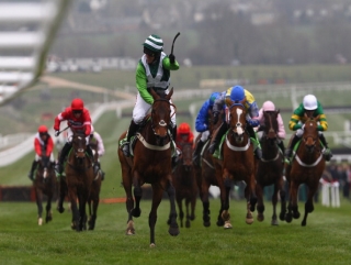 Rock on Ruby wins the Champion Hurdle.