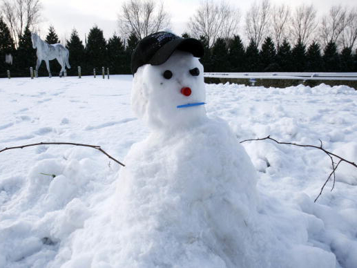 One racing punters' multiple left the layers out in the cold 