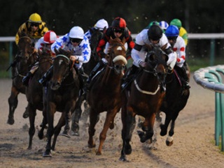 Wolverhampton is the scene of today's two Timeform Radio selections 