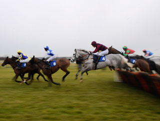 They go over jumps at Lingfield today