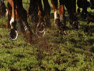 Timeform 1-2-3 Tips