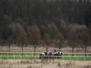 The likely fast pace is going to suit Phoenix Flight at Kempton.