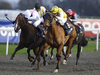 Today's Angle is at Kempton