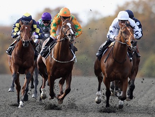 Lingfield Races